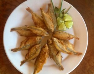 MyD Delivery Product Image